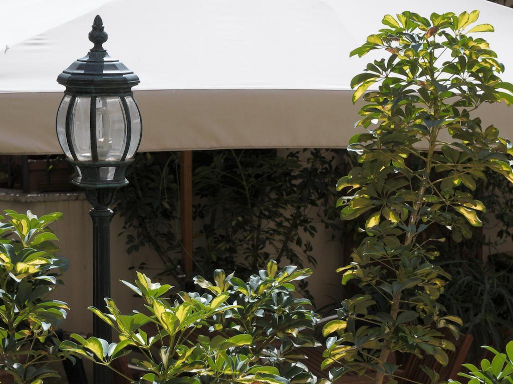 Bed & Breakfast I Fotografi Al Colosseo